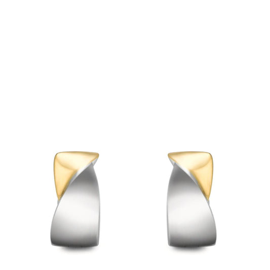 Orecchini circolari Acciaio inossidabile bicolore rivestimento IP