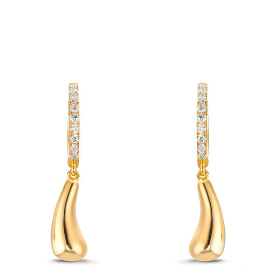 Orecchini circolari Argento giallo dorato