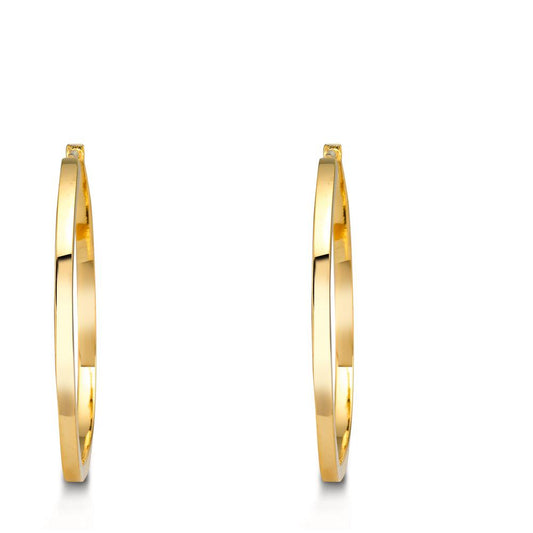 Orecchini a cerchio Argento giallo dorato