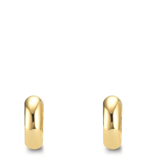 Orecchini circolari Argento giallo dorato