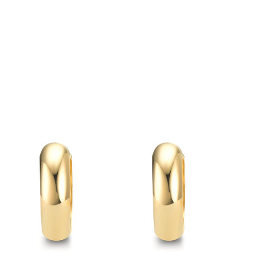 Orecchini circolari Argento giallo dorato