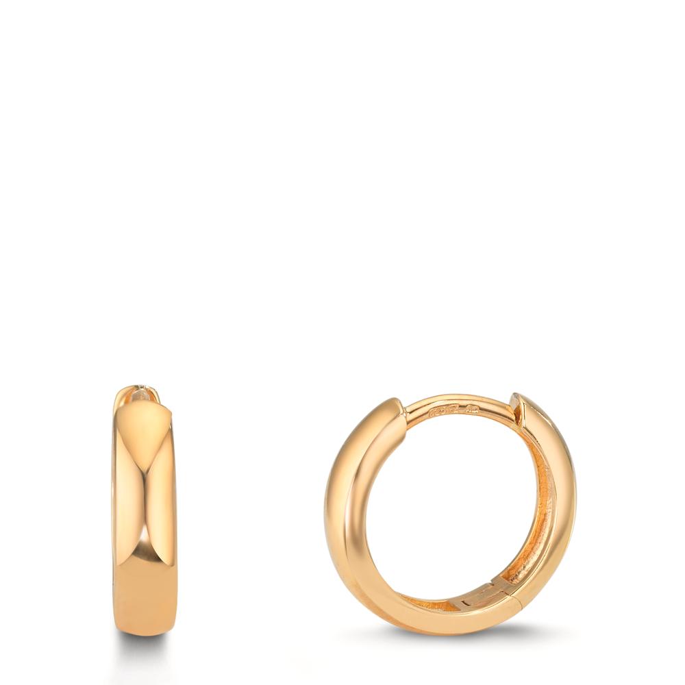 Orecchini circolari Argento giallo dorato