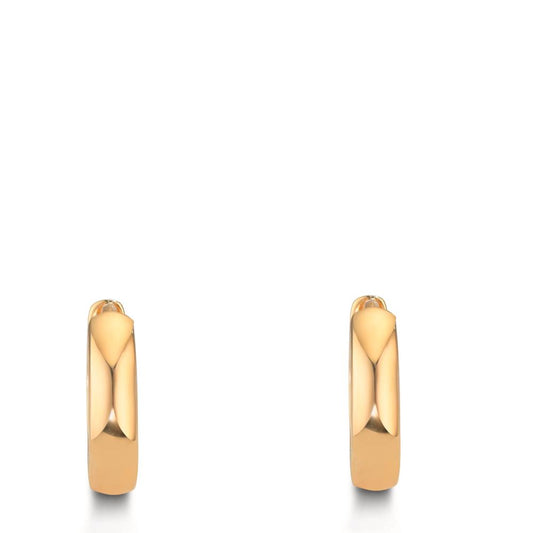 Orecchini circolari Argento giallo dorato