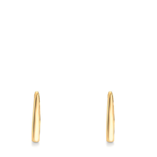 Orecchini circolari Argento giallo dorato