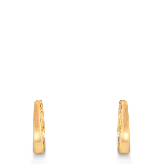 Orecchini circolari Argento giallo dorato