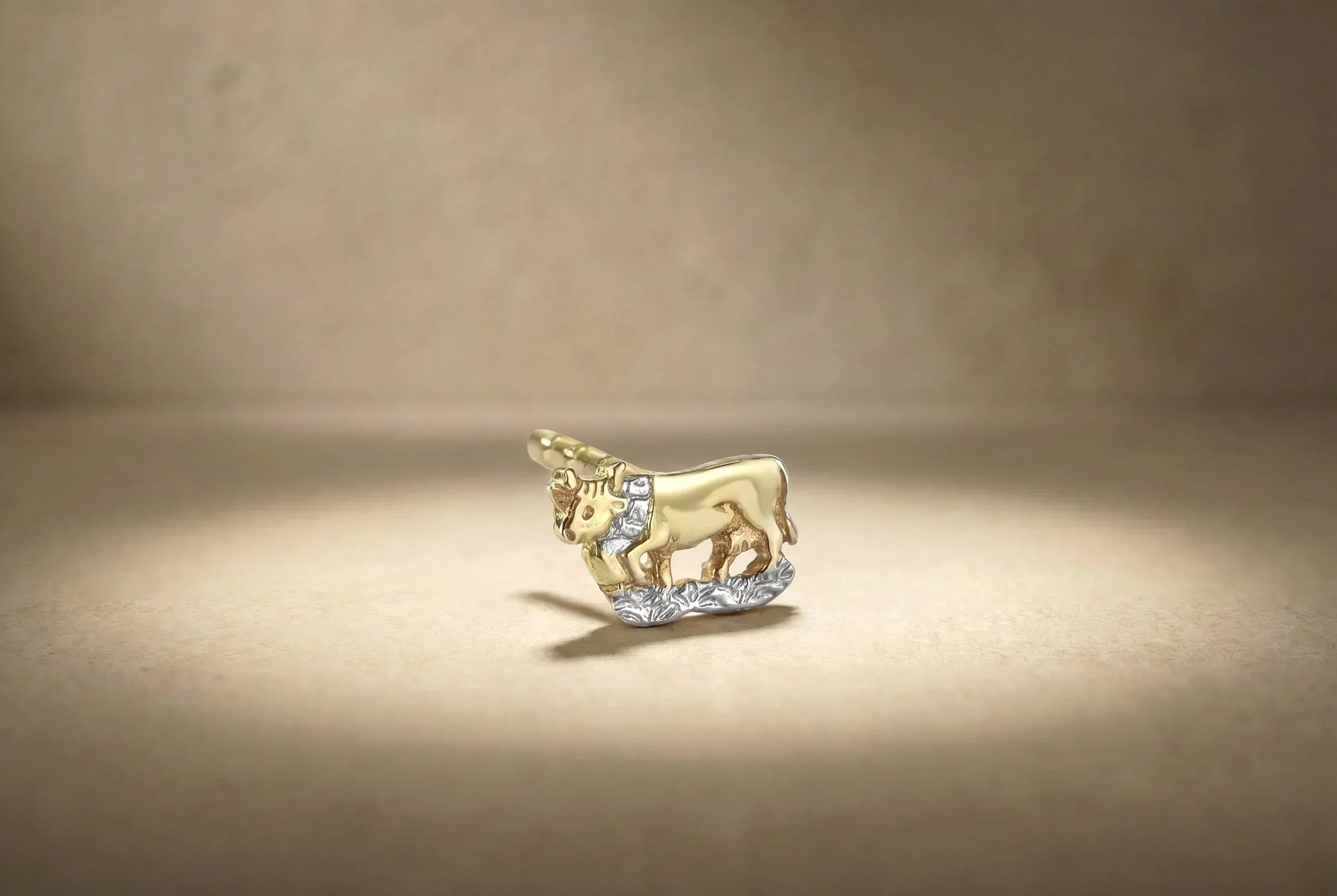 Herren - Ohrschmuck - Ohrstecker Motiv