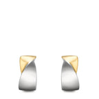 Orecchini circolari Acciaio inossidabile bicolore rivestimento IP