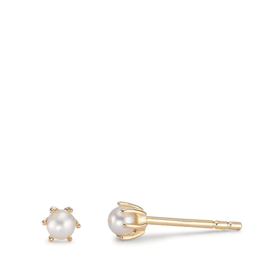 Orecchini a bottone Argento giallo dorato Perla coltivata d'acqua dolce bianco, 2 Perla Ø4 mm