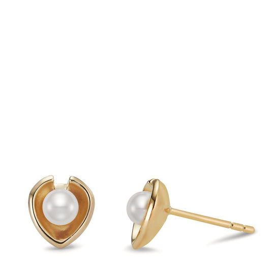 Orecchini a bottone Argento giallo dorato Perla coltivata d'acqua dolce bianco, 2 Perla, 4 mm Ø8 mm