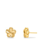 Orecchini a bottone Argento giallo dorato Fiore Ø10 mm