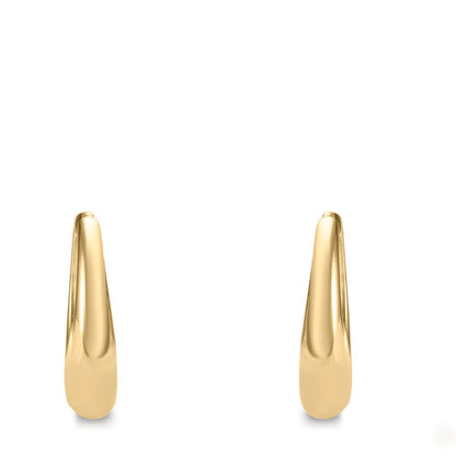 Orecchini circolari Argento giallo dorato