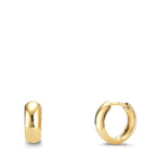 Orecchini circolari Argento giallo dorato