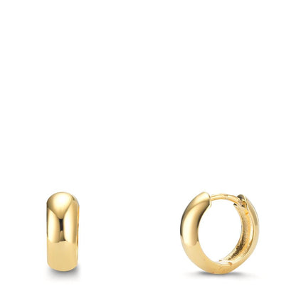 Orecchini circolari Argento giallo dorato