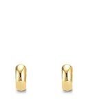 Orecchini circolari Argento giallo dorato