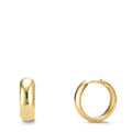 Orecchini circolari Argento giallo dorato