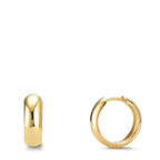 Orecchini circolari Argento giallo dorato