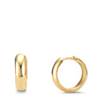 Orecchini circolari Argento giallo dorato