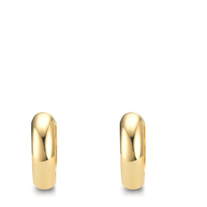 Orecchini circolari Argento giallo dorato