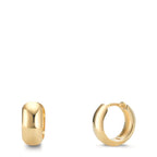 Orecchini circolari Argento giallo dorato