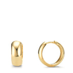 Orecchini circolari Argento giallo dorato