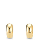 Orecchini circolari Argento giallo dorato