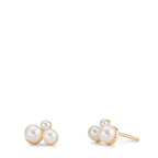 Orecchini a bottone Oro giallo 375/9K Perla coltivata d'acqua dolce, 6 Perla 2-4 mm