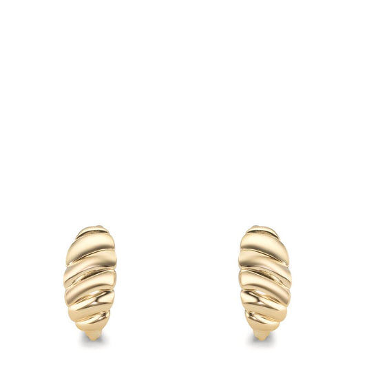 Orecchini circolari Oro giallo 375/9K