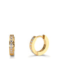 Orecchini circolari Acciaio inossidabile Zirconia bianco, 14 pietra giallo rivestimento IP