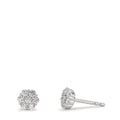 Orecchini a bottone Argento Zirconia 14 pietra rodiato Fiore