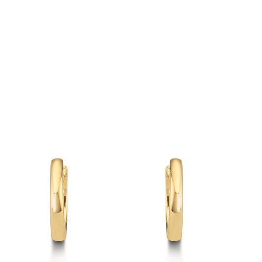 Orecchini circolari Argento giallo dorato