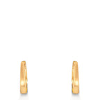 Orecchini circolari Argento giallo dorato