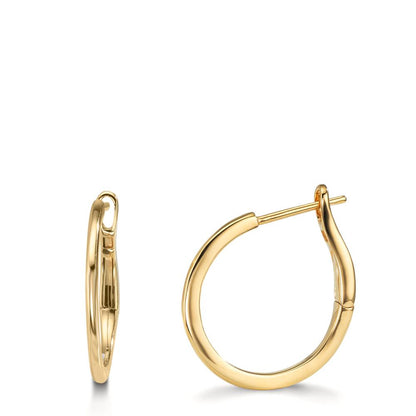 Orecchini circolari Oro giallo 375/9K