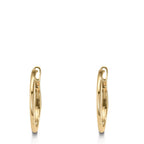 Orecchini circolari Oro giallo 375/9K
