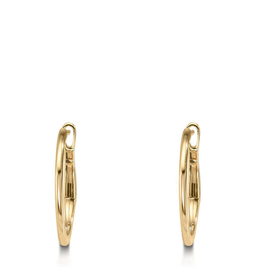 Orecchini circolari Oro giallo 375/9K