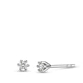 614230 main