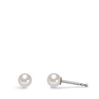 Orecchini a bottone Acciaio inossidabile Perla di conchiglia Ø5 mm-595285